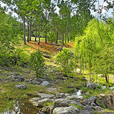 Cabañas Juan Salvador en Los Reartes