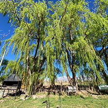 Cabañas Barreal
