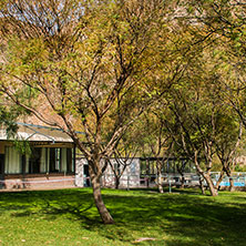 Cabañas Cacheuta