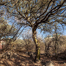 Cabañas Capilla del Monte