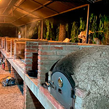 Cabañas Delta Tigre