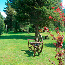 Cabañas El Hoyo