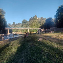 Cabañas El Trapiche