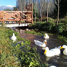 Cabañas Lago Puelo