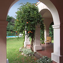 Cabañas  Merlo
