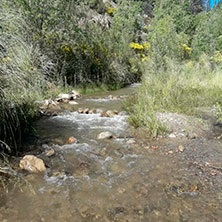 Cabañas Potrerillos