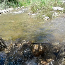 Cabañas Potrerillos