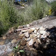 Cabañas Potrerillos