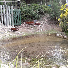 Cabañas Potrerillos