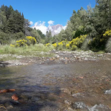 Cabañas Potrerillos