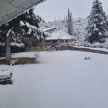 Cabañas Potrerillos