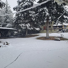 Cabañas Potrerillos