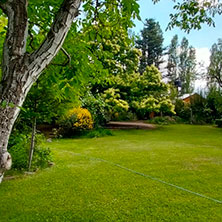 Cabañas Potrerillos