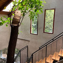 Cabañas Salta