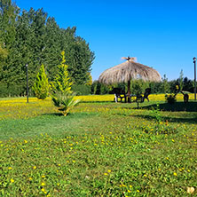 Cabañas San Rafael