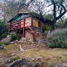 Cabañas Icho Cruz