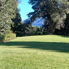 Cabañas Villa Traful
